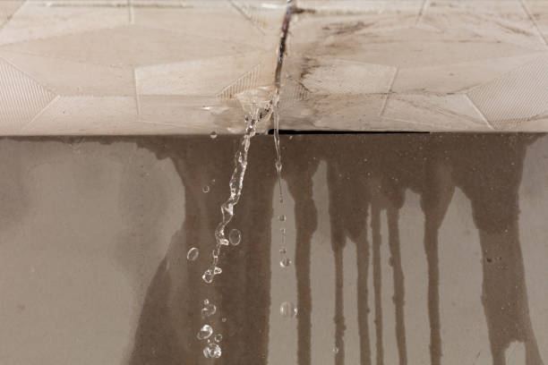 Professional Structural Drying technician working in DeLand, FL